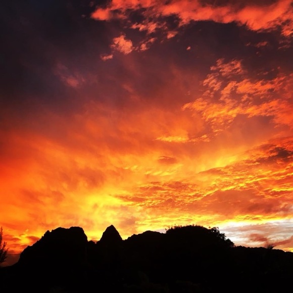 Meet your Posher, Treva - Picture 1 of 1